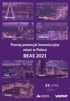 The Investment Potential of Polish Cities